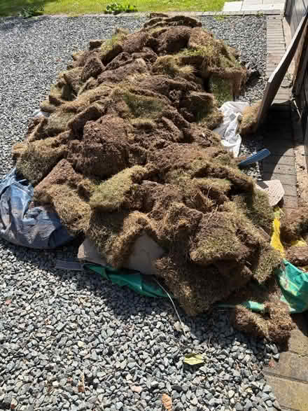 Photo of free turf (PE12) #1
