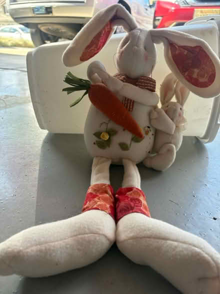 Photo of free Stuffed rabbit (Hwy 76, Rancho Del Oro, O’side) #1