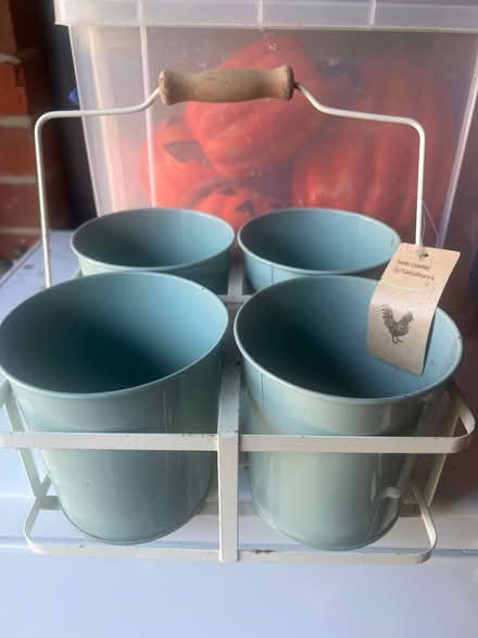 Photo of free Herb planters in basket (Fobbing SS17) #1