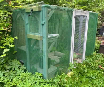 Photo of free Outdoor catio (Sapperton) #2
