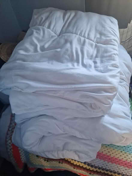 Photo of free Duvets 1 king, 1 single (Lye Valley OX4) #1