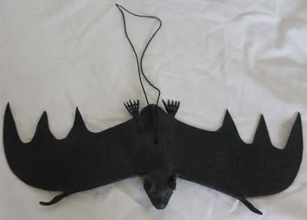 Photo of free Rubber bat (Loudwater HP13) #1