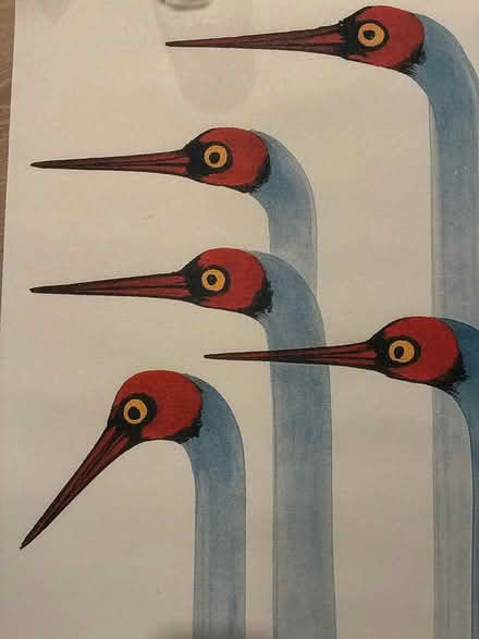 Photo of free Large bird posters - quirky, modern (Chadds Ford) #3