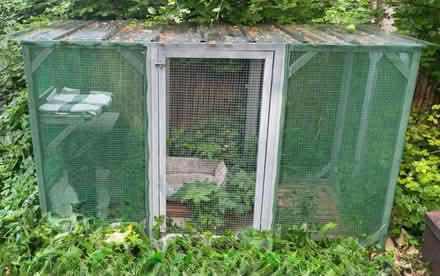 Photo of free Outdoor catio (Sapperton) #1