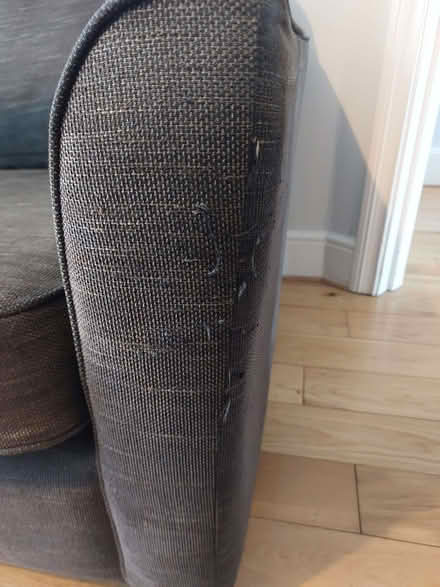 Photo of free Dark grey double sofabed (Surrenden BN1) #2