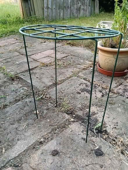 Photo of free Plant Support (Napsbury AL2) #1