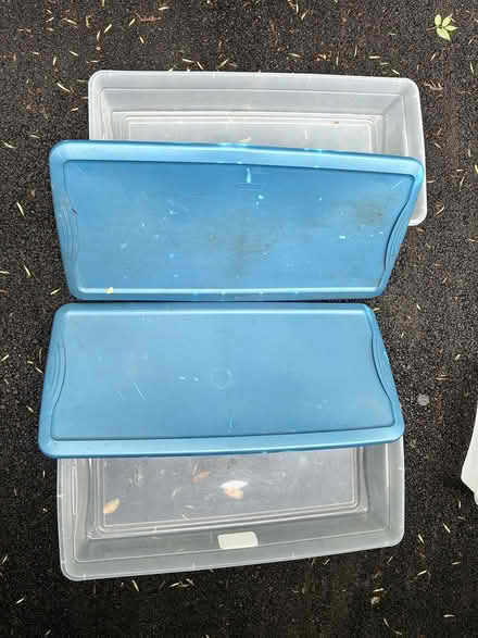 Photo of free Storage bins for under bed (19317) #2