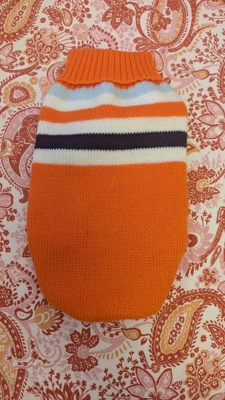 Photo of free Dog jumper (Small) (SE25 4HT) #2