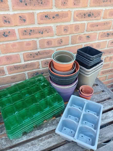 Photo of free Seed trays and plant pots (Bixley IP4) #1