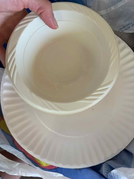 Photo of free Disposable utensils (Woolwich SE18) #3