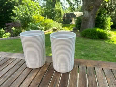Photo of free 2 tall pale grey ceramic planters (Wimbledon Park SW19) #1