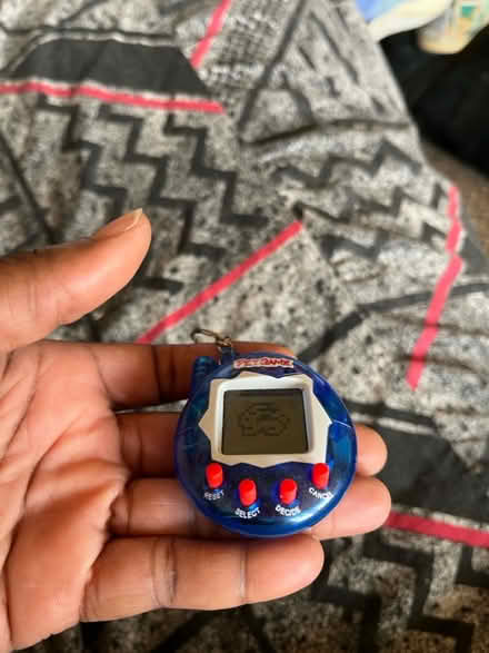 Photo of free Electronic Pet Game (Camberwell SE5) #2