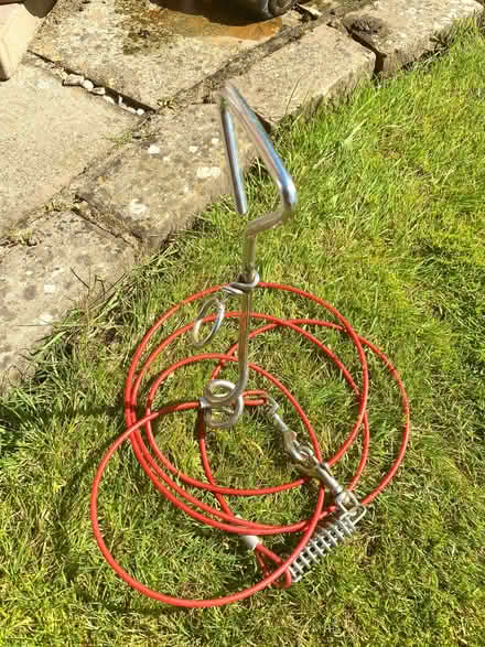 Photo of free 10ft Dog Tie-Out Cable with Spiral Stake (Carlisle CA1) #2