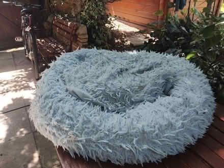 Photo of free Fluffy light blue dog bed 80 x 80cm (Lakenham NR1) #1