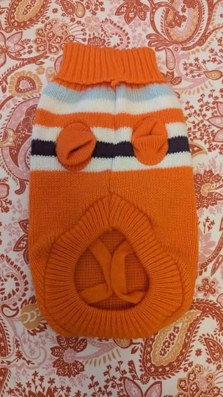 Photo of free Dog jumper (Small) (SE25 4HT) #1