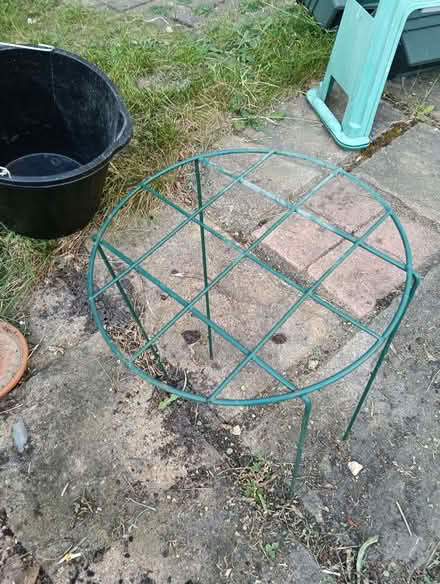 Photo of free Plant Support (Napsbury AL2) #3