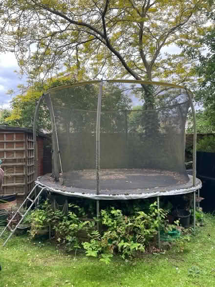 Photo of free 3.5m/11.5ft Trampoline (RG40 Wokingham) #1