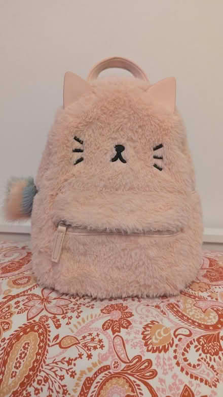 Photo of free Small cat backpack (SE25 4HT) #1