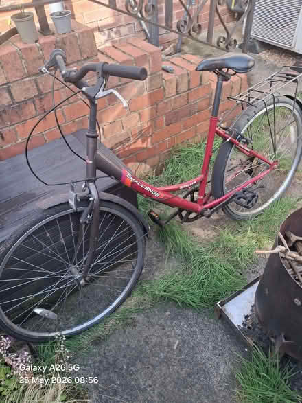 Photo of free One female bike (Chaddesden DE21) #1