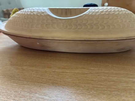 Photo of free Fish Brick (Lewes Nevill area) #2