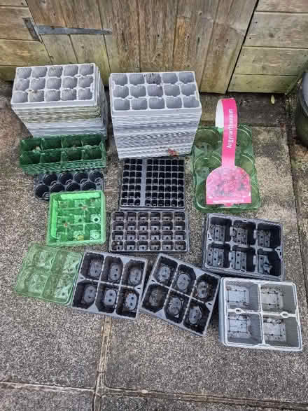 Photo of free Assorted Plant Trays (Handforth SK9) #1