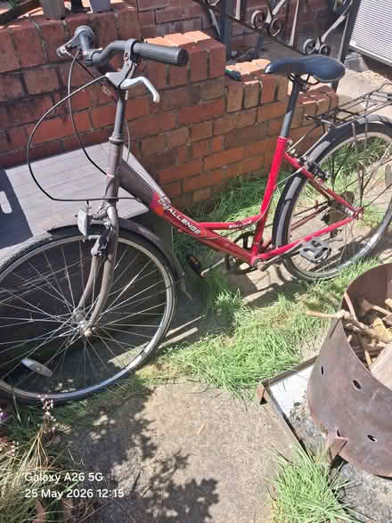 Photo of free One female bike (Chaddesden DE21) #1