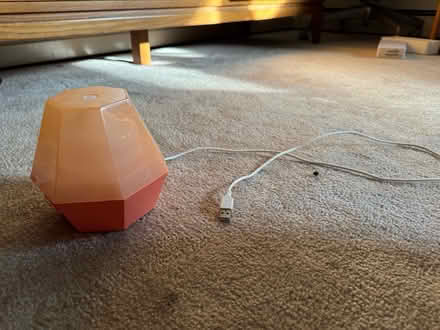 Photo of free Diffuser (Ithaca) #1