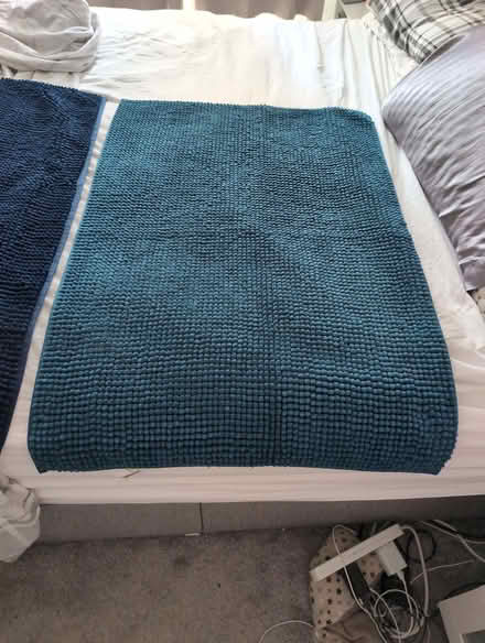 Photo of free Bath mats (Common Edge FY4) #2