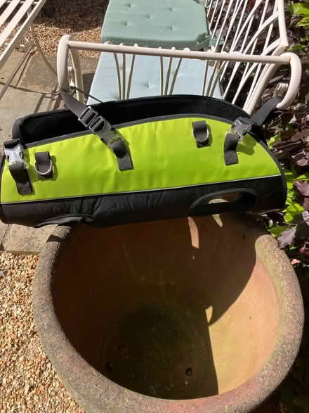 Photo of free Dog grooming harness (Wetherby LS22 ( N. Deighton)) #2