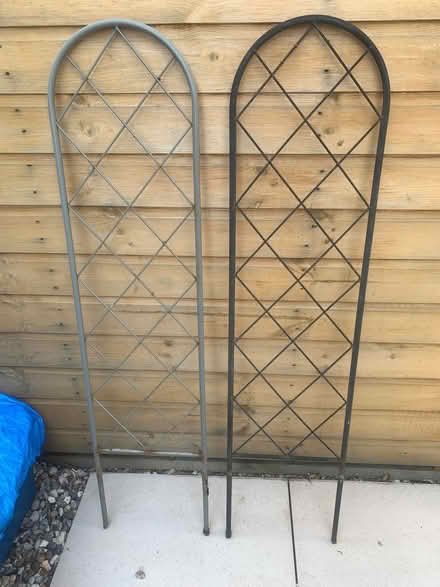 Photo of free Plant trellis (Carrick Knowe EH12) #1