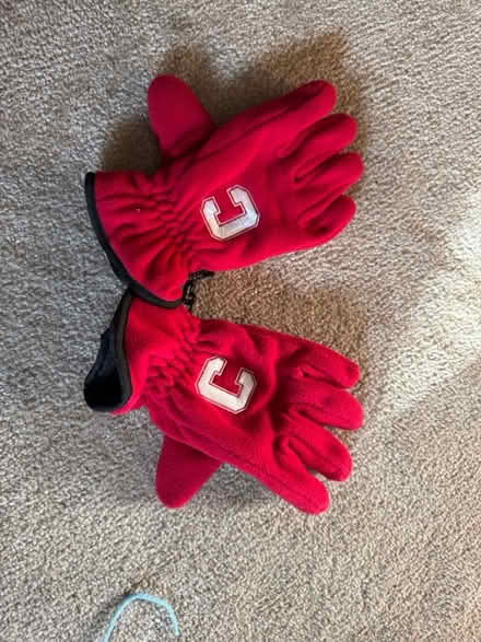 Photo of free Cornell Winter Gloves (Ithaca) #1