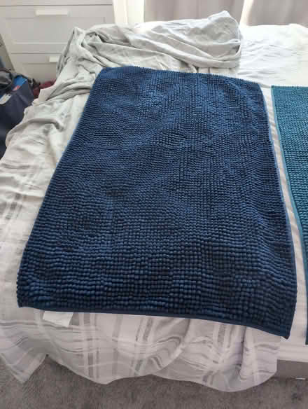 Photo of free Bath mats (Common Edge FY4) #1