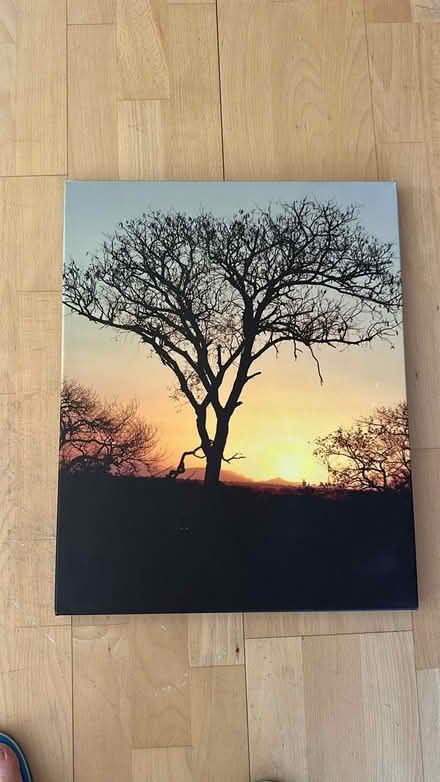 Photo of free Canva prints (SE1 3LD) #2