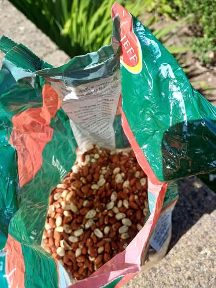 Photo of free Peanuts for birds (Bradford on Avon BA15) #1