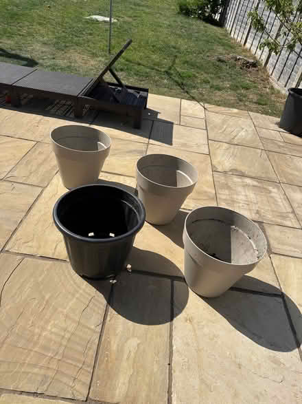 Photo of free Patch Plant Pots (Borden ME9) #1