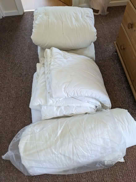 Photo of free 3 King-size duvets (Caversham Park RG4) #1