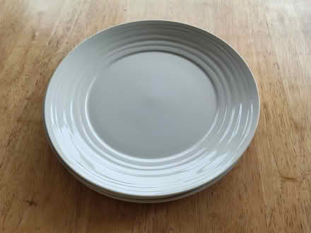 Photo of free Dinner Plates (North Seaton NE63) #2