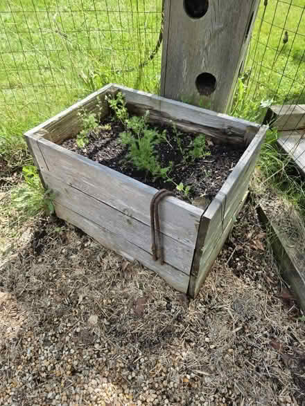Photo of free Wood (Lagrange) #3