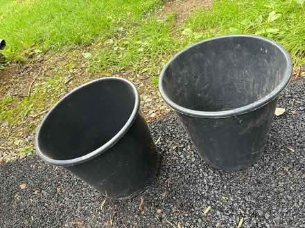 Photo of free Flower buckets (Chadds Ford) #2