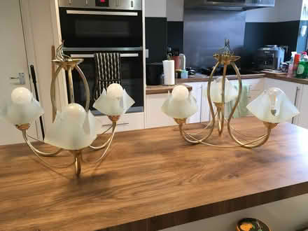 Photo of free LIGHTS:- ceiling lights with shades (Tangmere PO20) #1