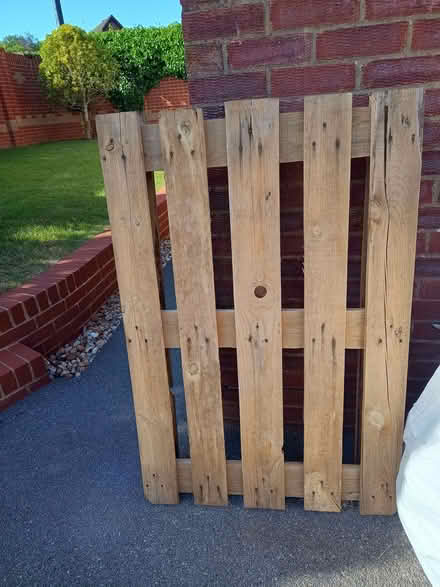 Photo of free 1 Wooden pallet (Waterlooville PO8) #1