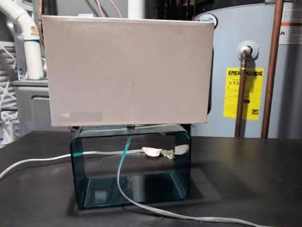 Photo of free Lamp (Brentwood) #1