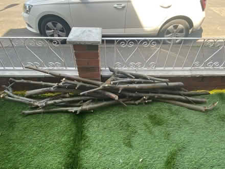 Photo of free Branches Apple and Pear Tree. Firewood? (Chapel End E17) #1