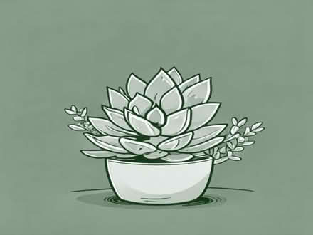 Photo of Outdoor succulent plants (Iver UB8) #1
