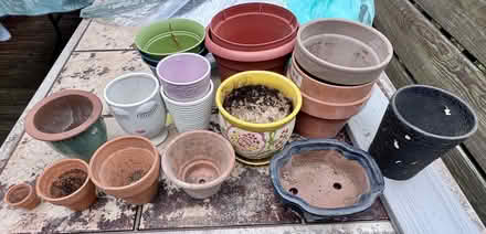 Photo of free Gardening Supplies (Bethesda) #3