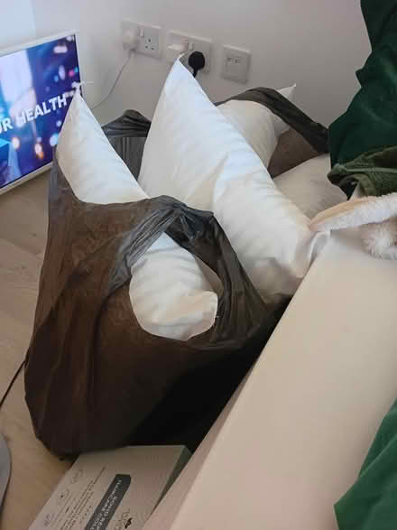 Photo of free 4 new pillows (Chelsea habour SW10) #1