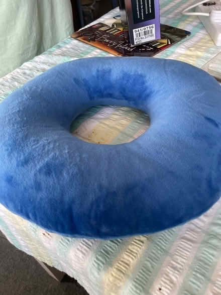 Photo of free donut cushion (Barry CF63) #1