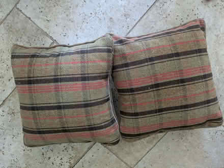 Photo of free Two cushions (Painswick GL6) #2