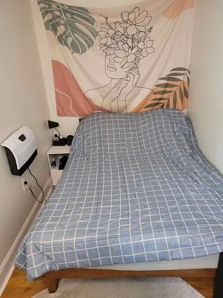 Photo of free Full mattress and bedframe (Somerville) #1