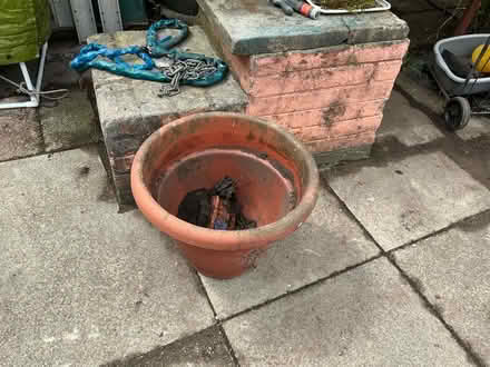 Photo of free Plant pot (Liverpool 13 /Stoneycroft) #1